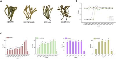 Inhibitory effect of Lonicera japonica flos on Streptococcus mutans biofilm and mechanism exploration through metabolomic and transcriptomic analyses